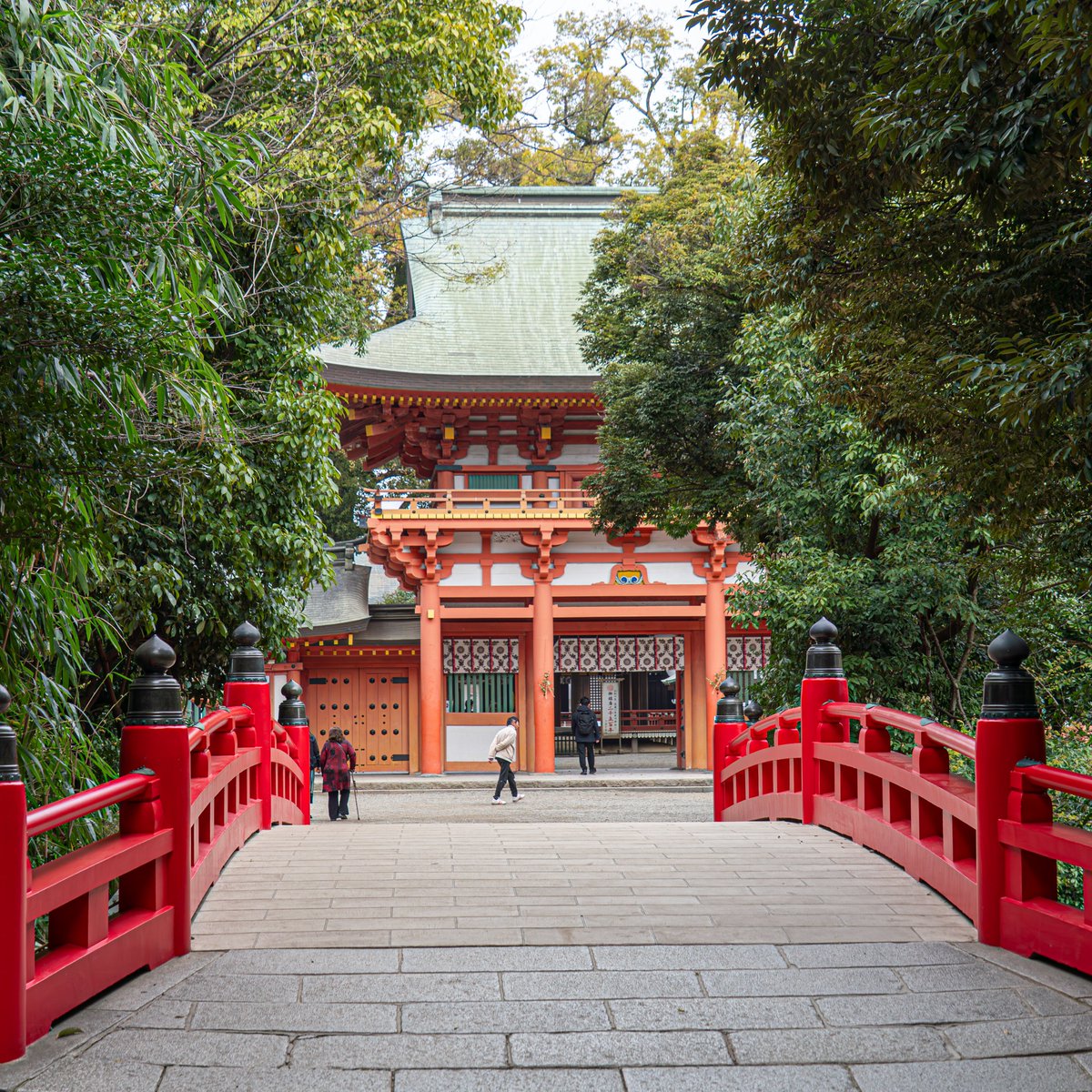 たびねこロック tweet media