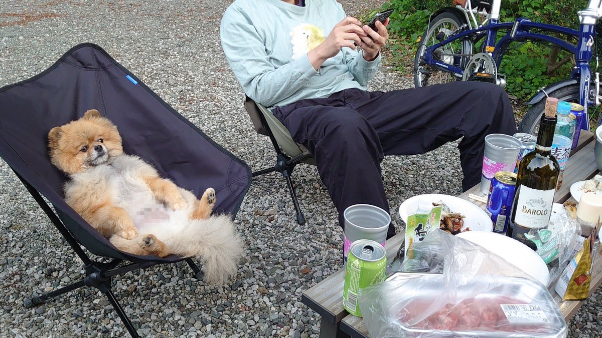 harepiyopiyo's tweet photo. ポチは妖精さんになって皆さまのそばで座ってると思いますので、どうか寂しくならないでくださいね🧚‍♂️🪄 https://t.co/pjhfbKb4Jo