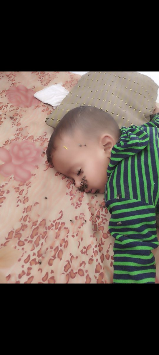 Abdullah Matar tweet media