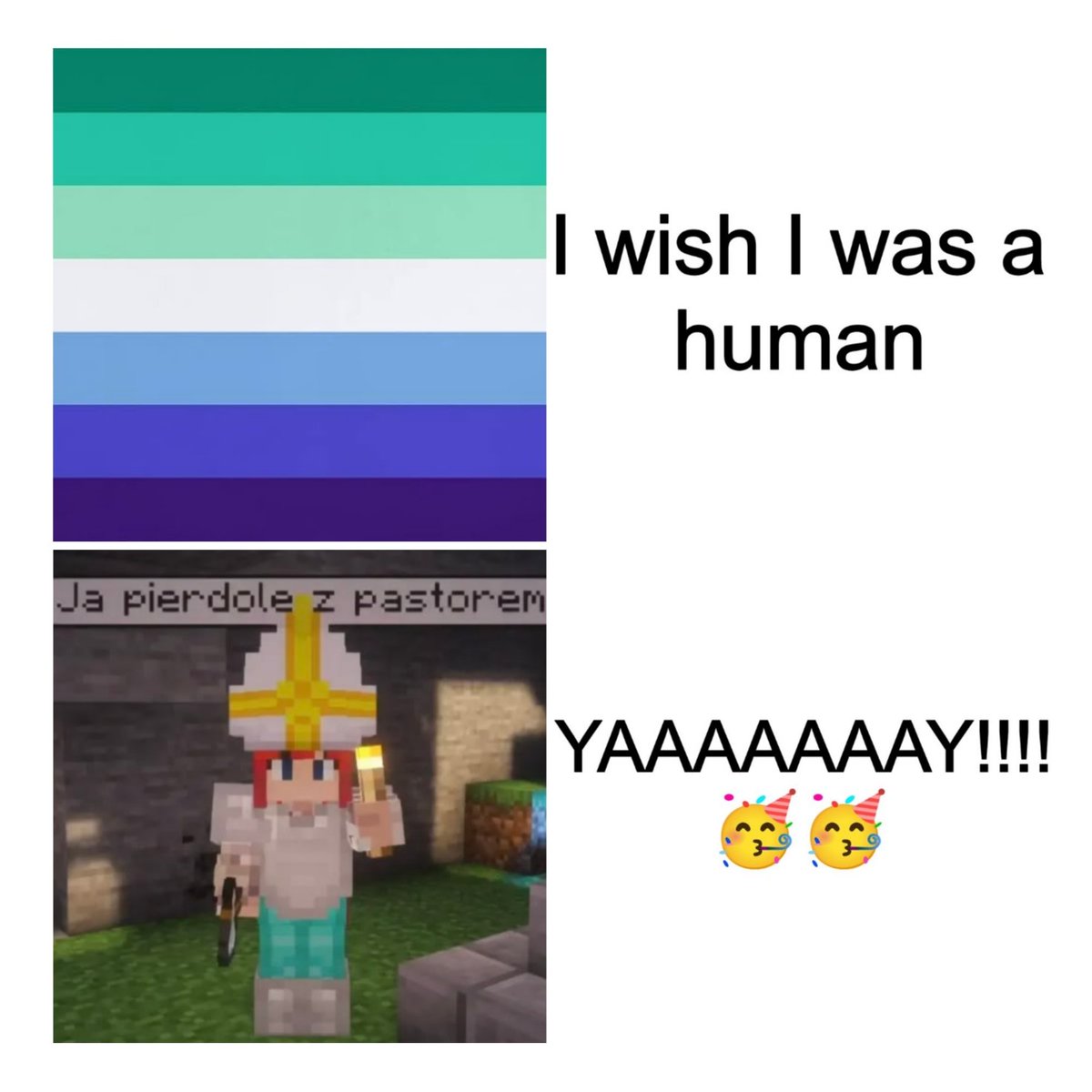 sia𓈒࣪ ᭡𖤐 | assassinduonation tweet media