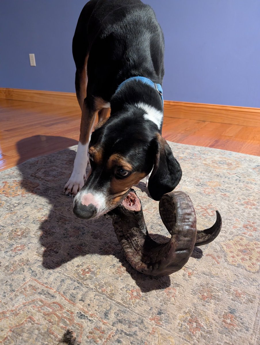 Daniel Franke tweet media