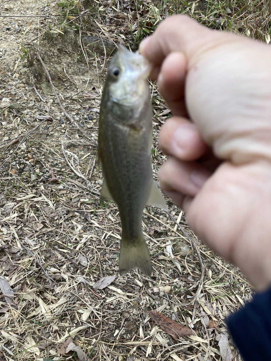 お菓子屋TETSU tweet media