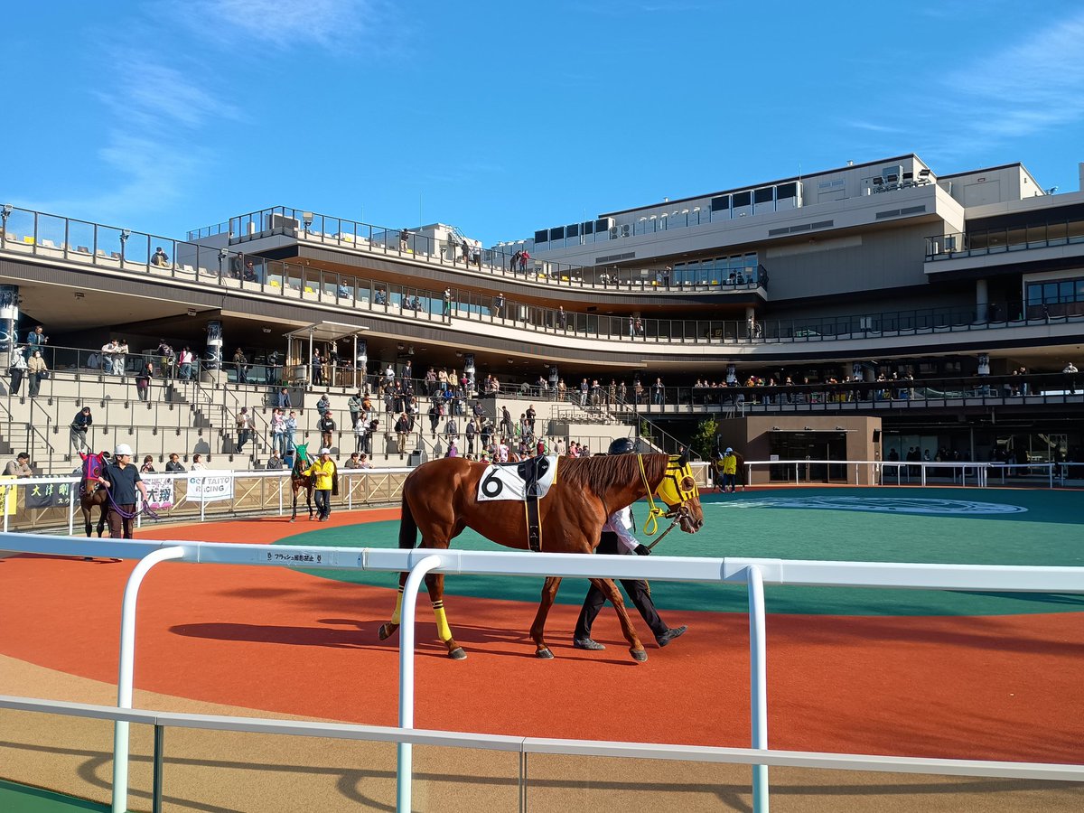 お1000@求職中 tweet media