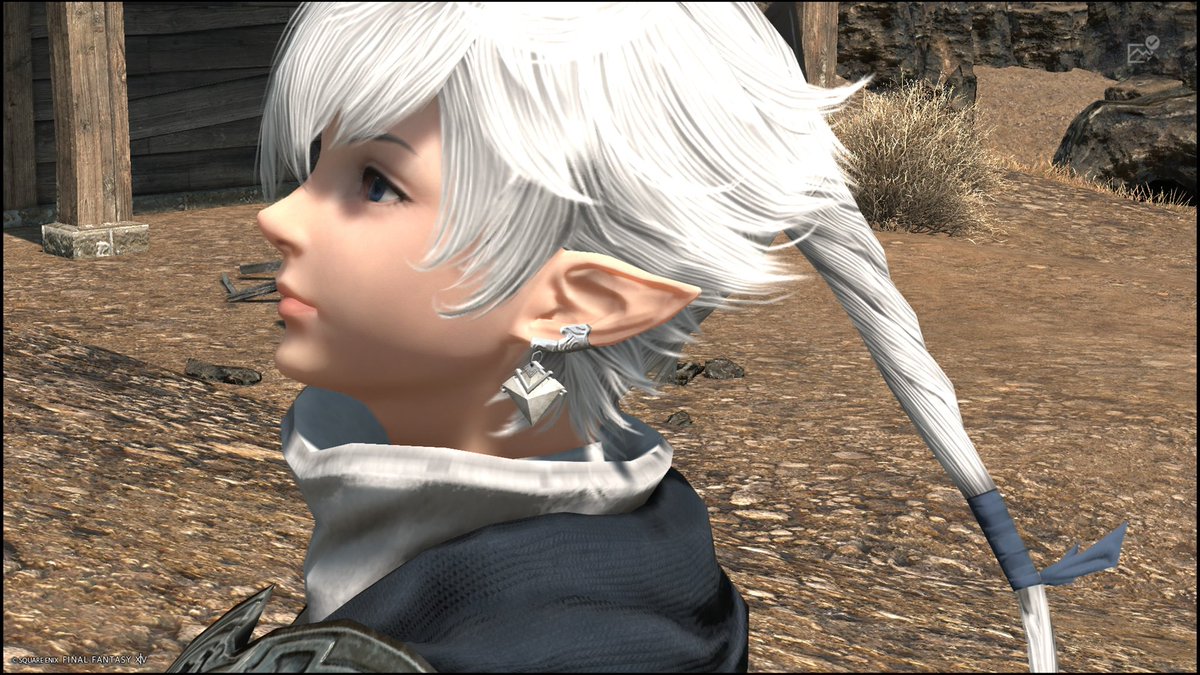 🌲🪾🍀elf habitat field recordings 🦭🏳️‍⚧️🌱 tweet media