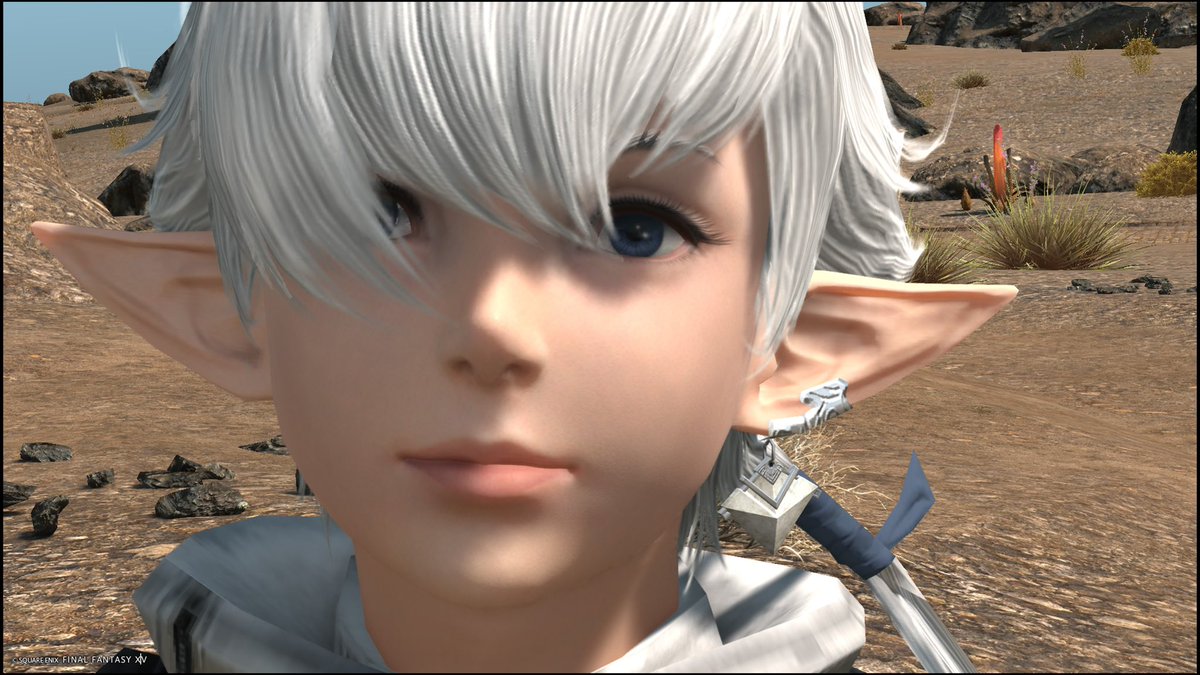 🌲🪾🍀elf habitat field recordings 🦭🏳️‍⚧️🌱 tweet media