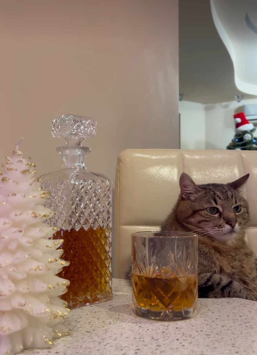 ๐ฌ๐๐ , ๐จ๐๐๐๐๐ tweet media