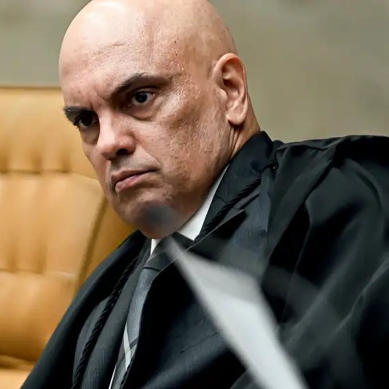 Fernanda Salles tweet media