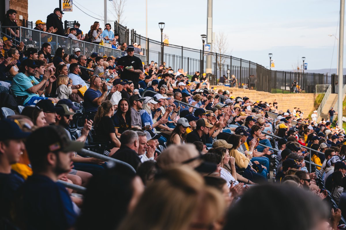 WVU Baseball tweet media