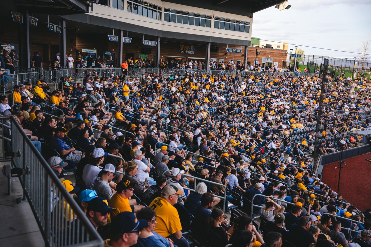 WVU Baseball tweet media