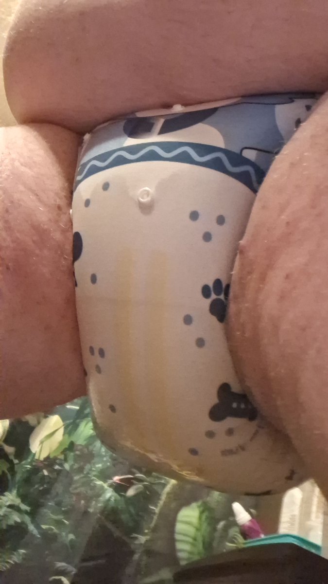 Padded_Dragon tweet media