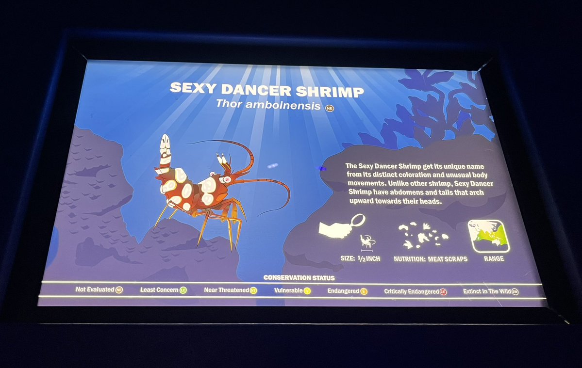 L.Y.K.A.I.O.S💿🐇VTuber tweet media