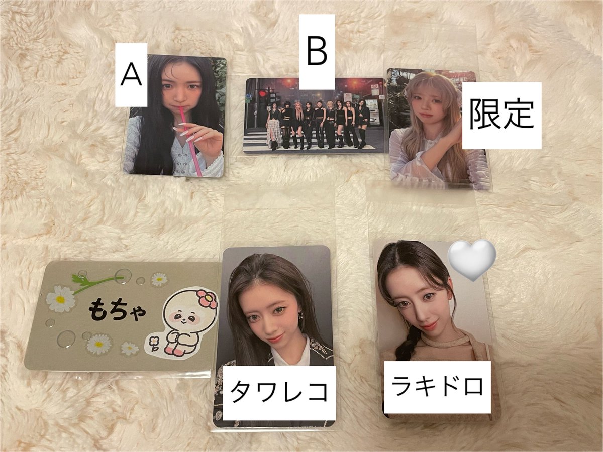 も ち ゃ ん tweet media