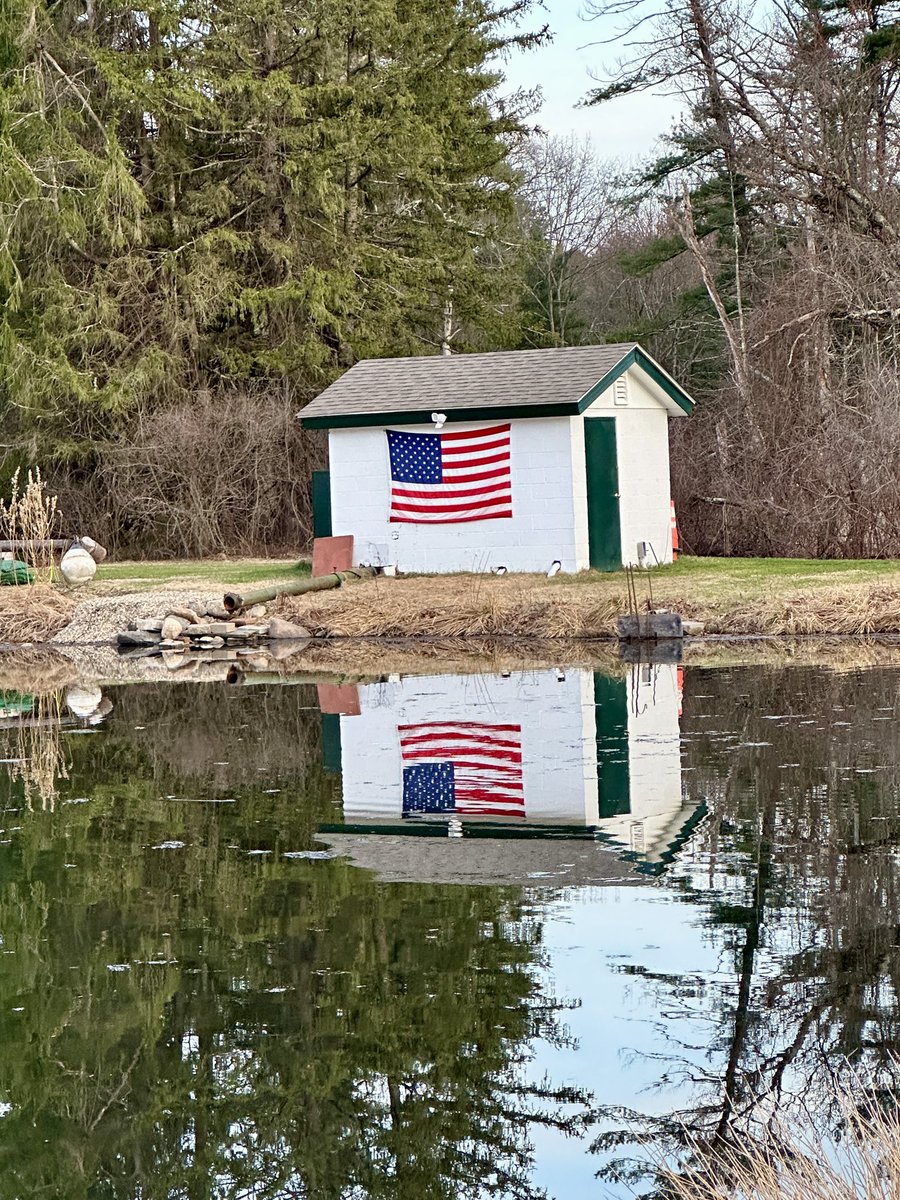 Mary Elaine Leach tweet media