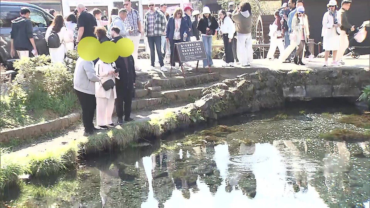 ライブドアニュース tweet media