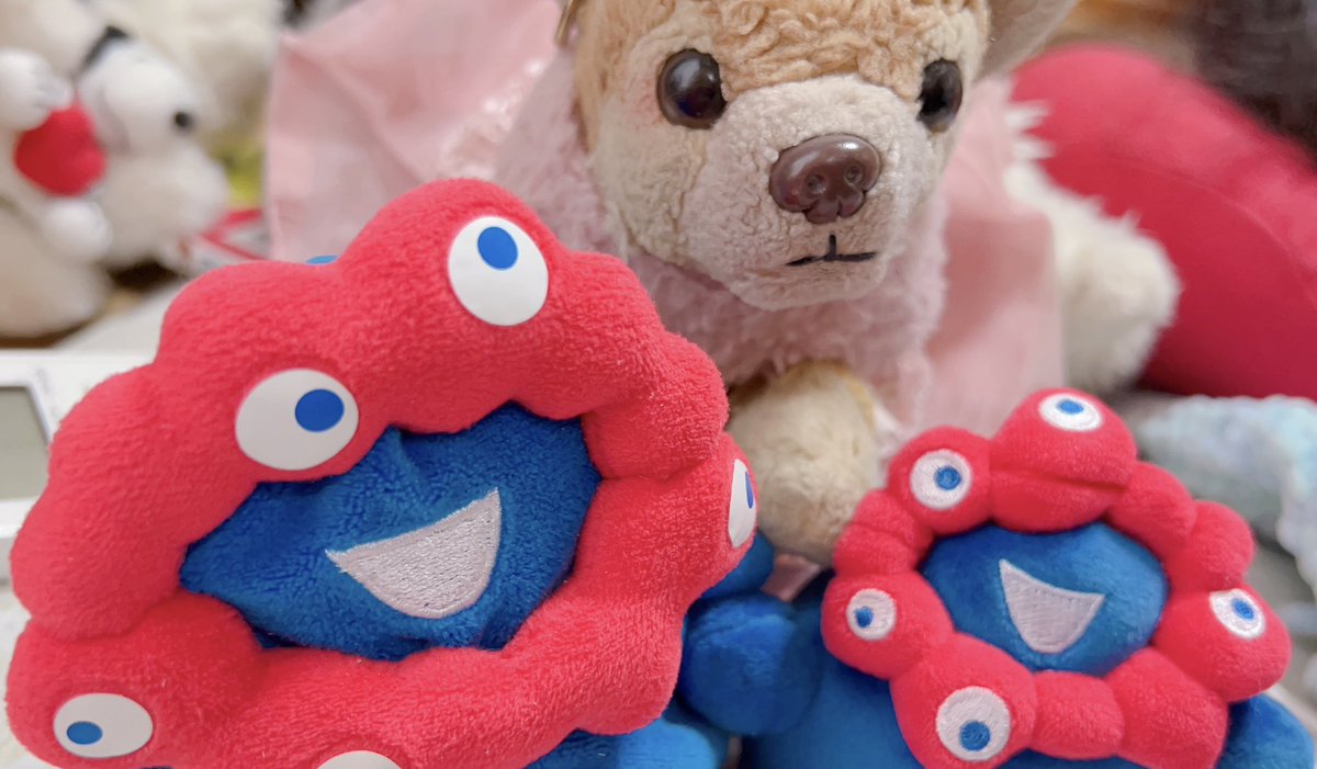 マダムなぽっちゃん🐶🐾 tweet media