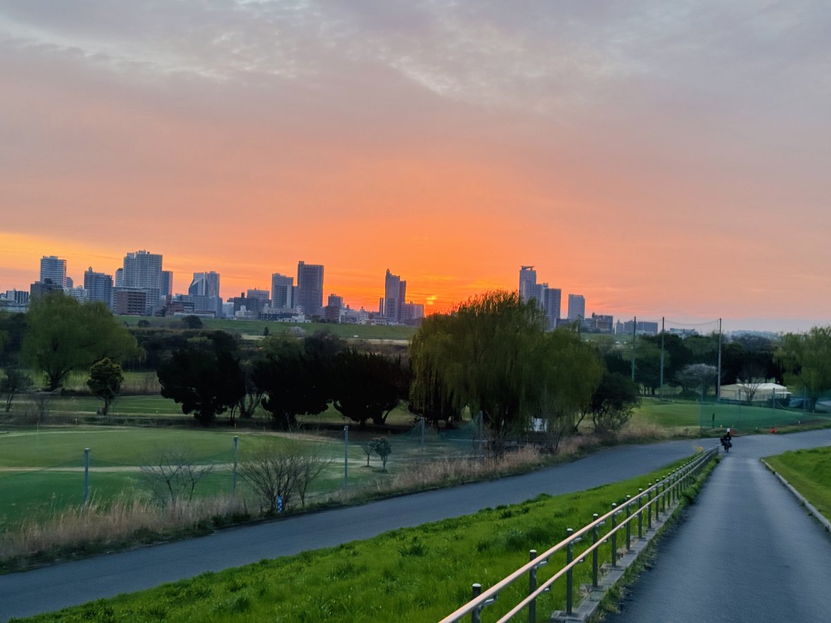 マーク金井 tweet media