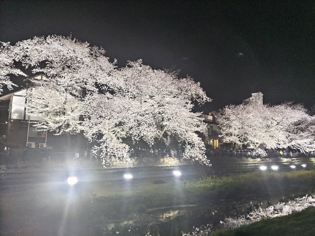 中野多摩川_大動脈瘤5.1㎝ tweet media