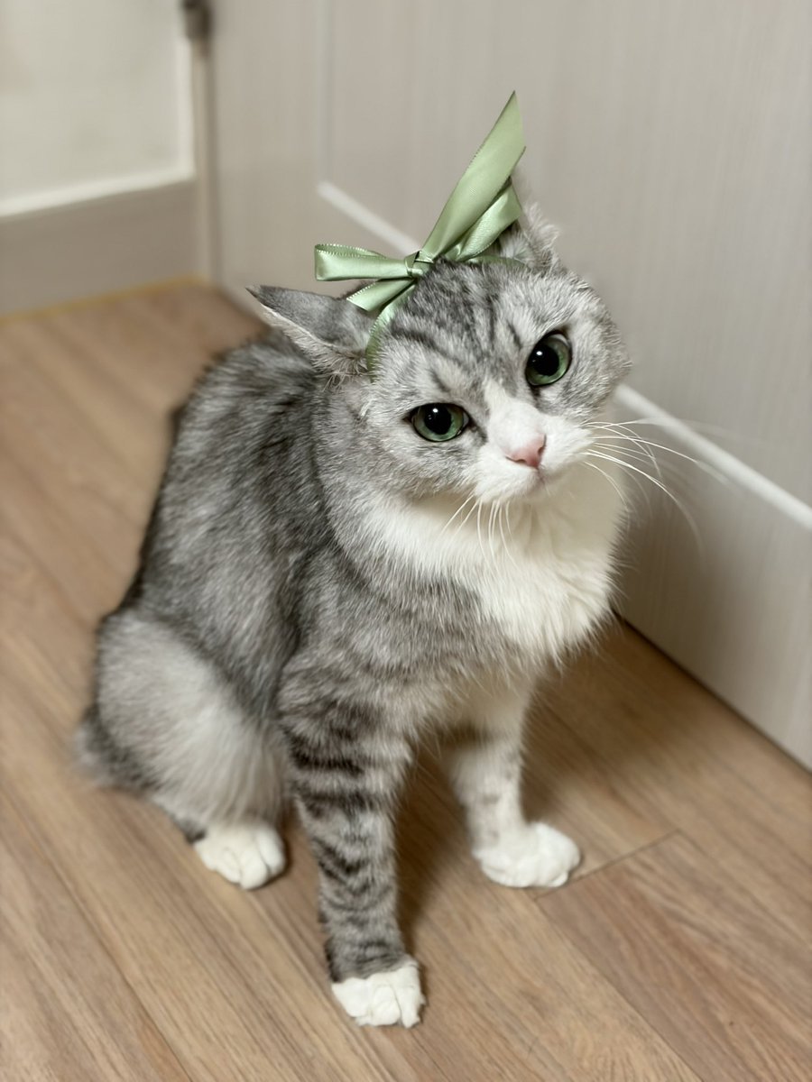 체스맨 🍍🪐🧃 tweet media