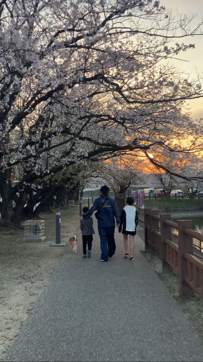 はる@こはるとかえで tweet media