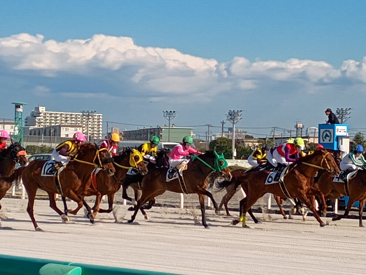 お1000@求職中 tweet media