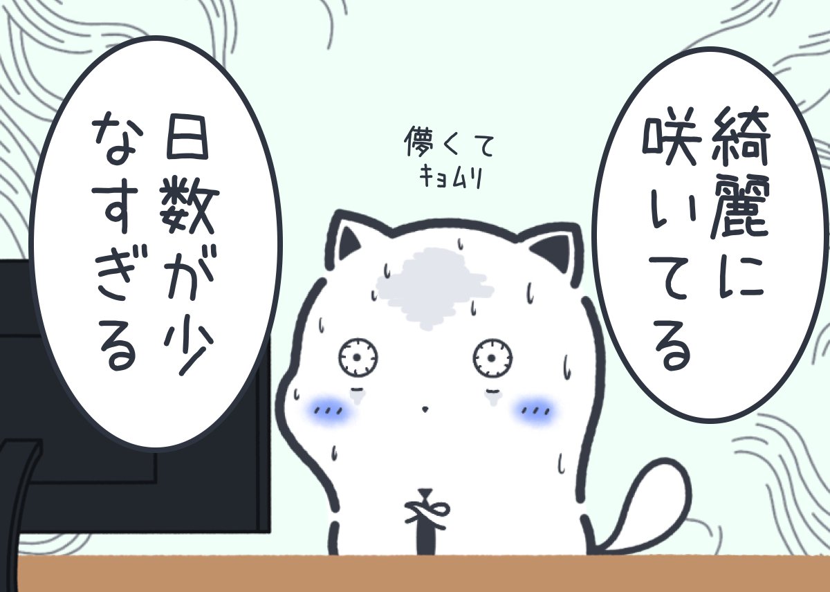 毎年感じる桜に対する不満 