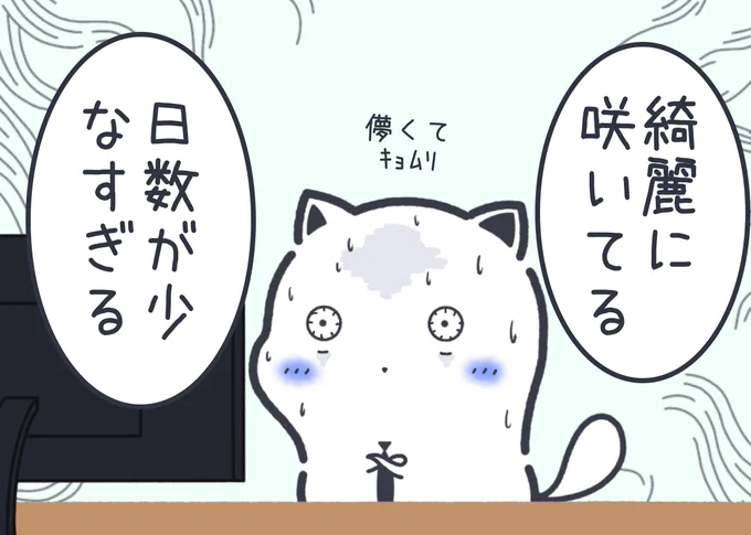 毎年感じる桜に対する不満 