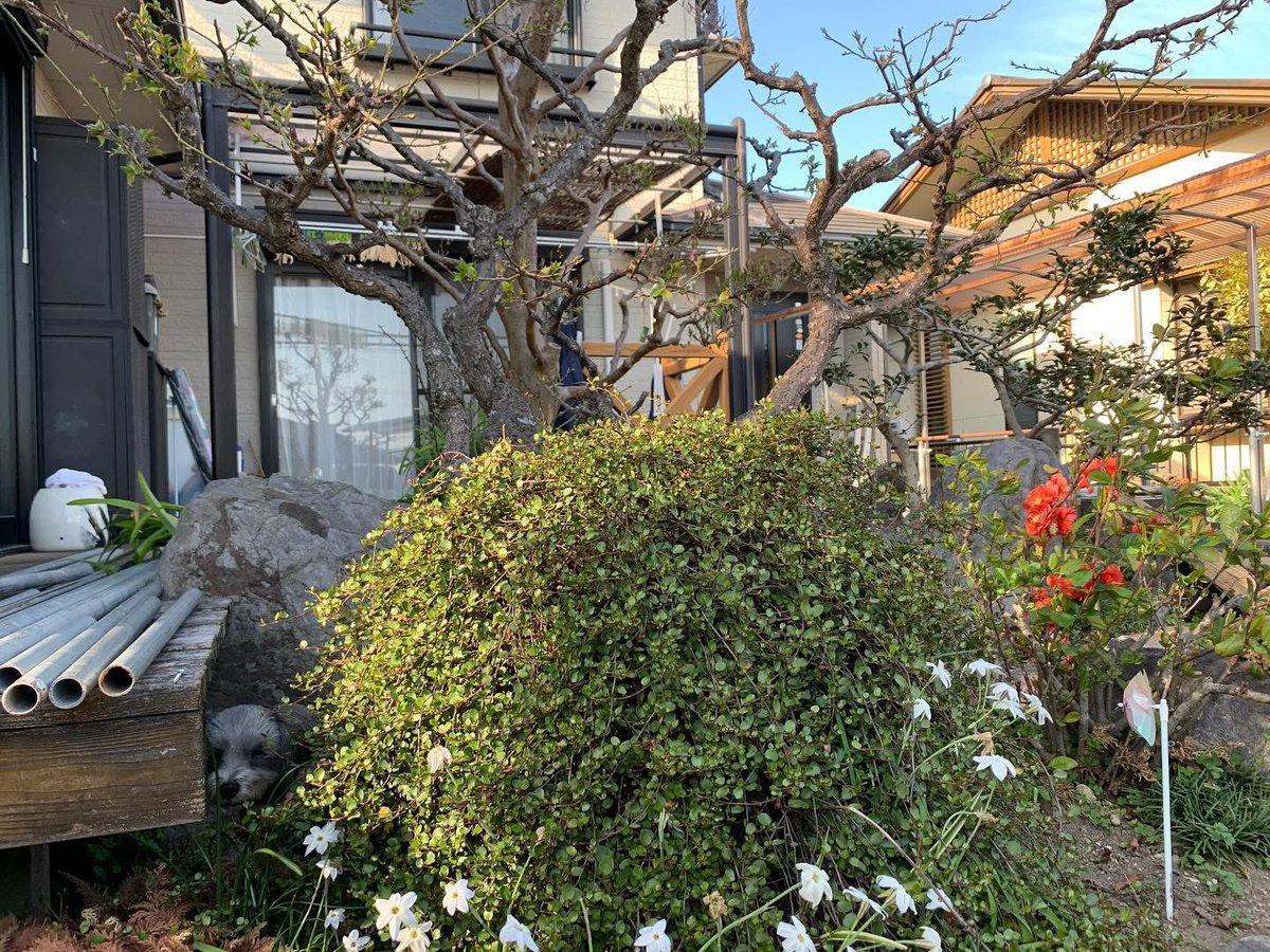 しゅんちゃん tweet media