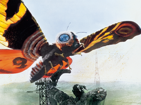 Official D Man1954 tweet media