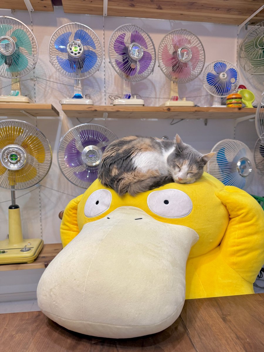 なみそ📕KEN/書籍重版！感謝📙 tweet media