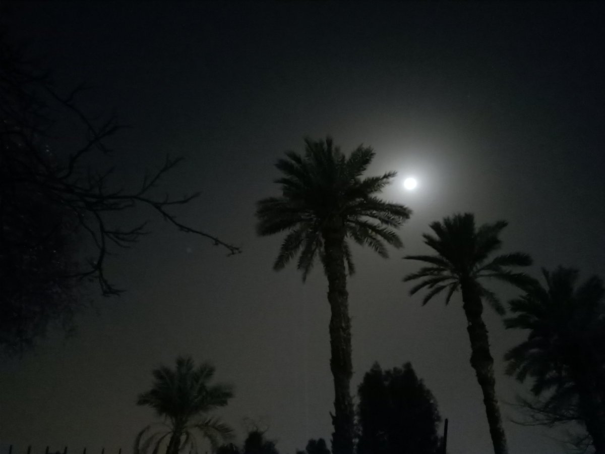 يارب شغل ف سفر ف جواز tweet media