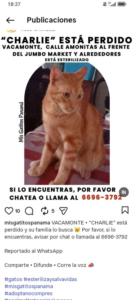 Nacelys González tweet media