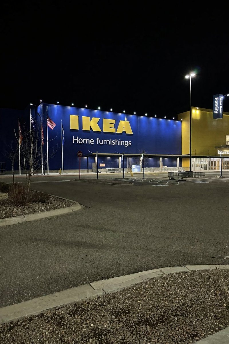 leo 🐾 tweet media