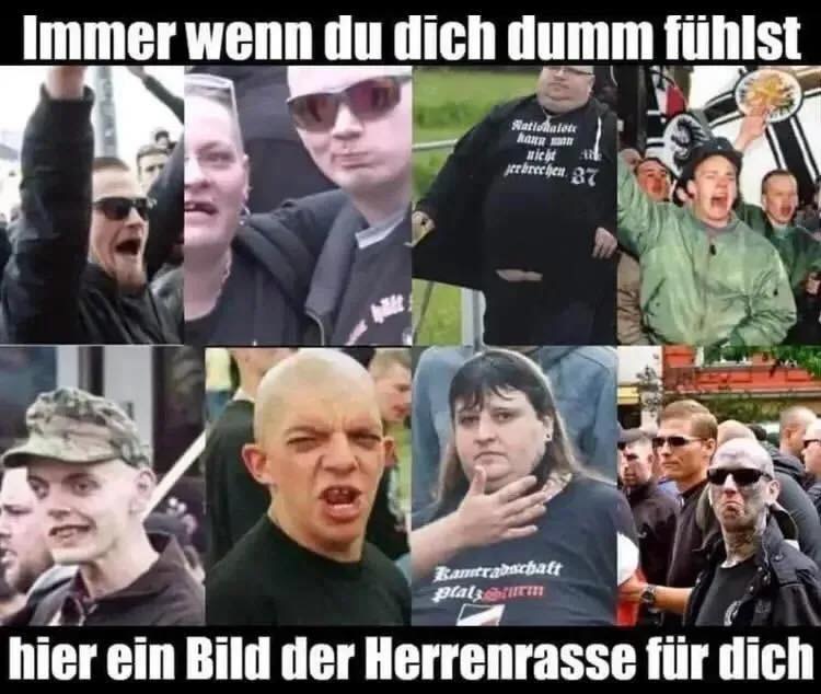 MacPaddy tweet media