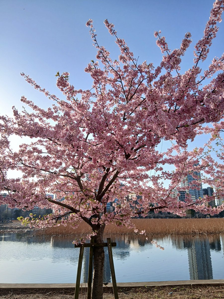 take🍀 tweet media