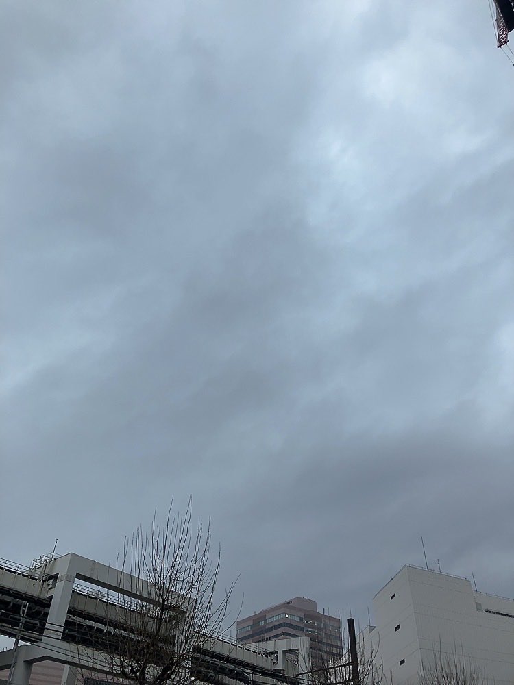 shingolfer tweet media