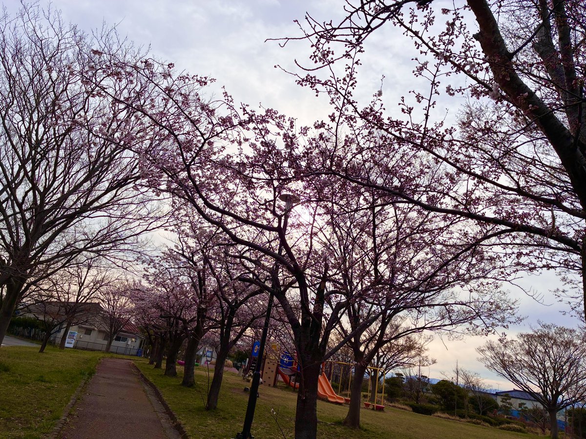 こなべパスタ tweet media