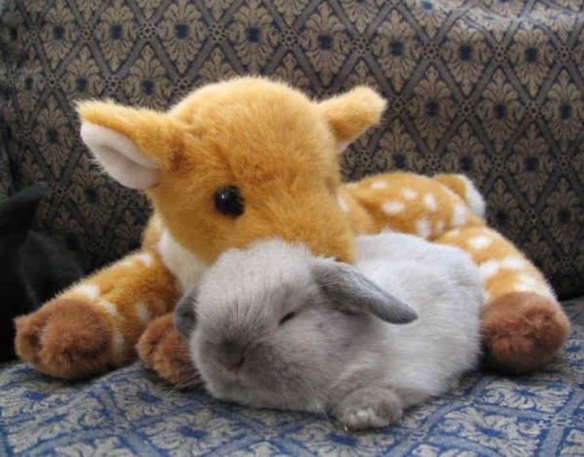 ari ཐི༑ཋྀ tweet media