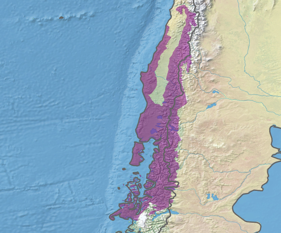 lobo_estepario tweet media