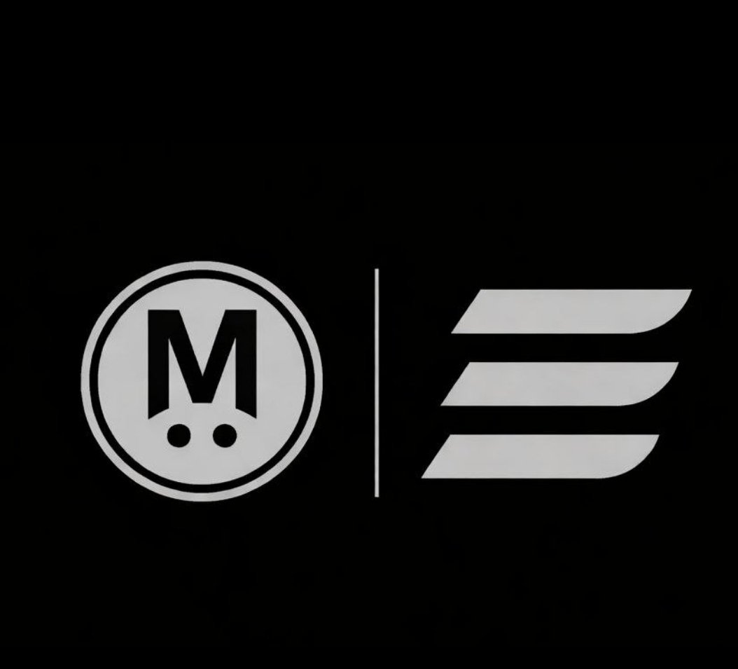 Maverick tweet media