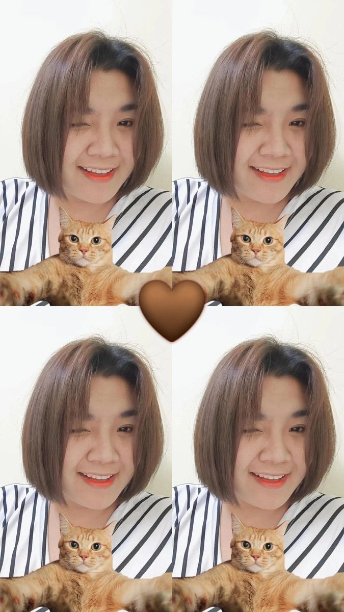 สิบสองกันยา tweet media