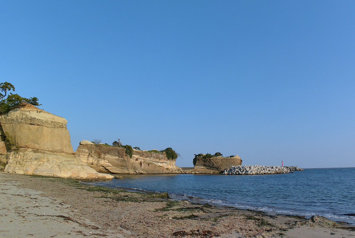 登斗丸桃丞🍑(ととまるとうすけ tweet media