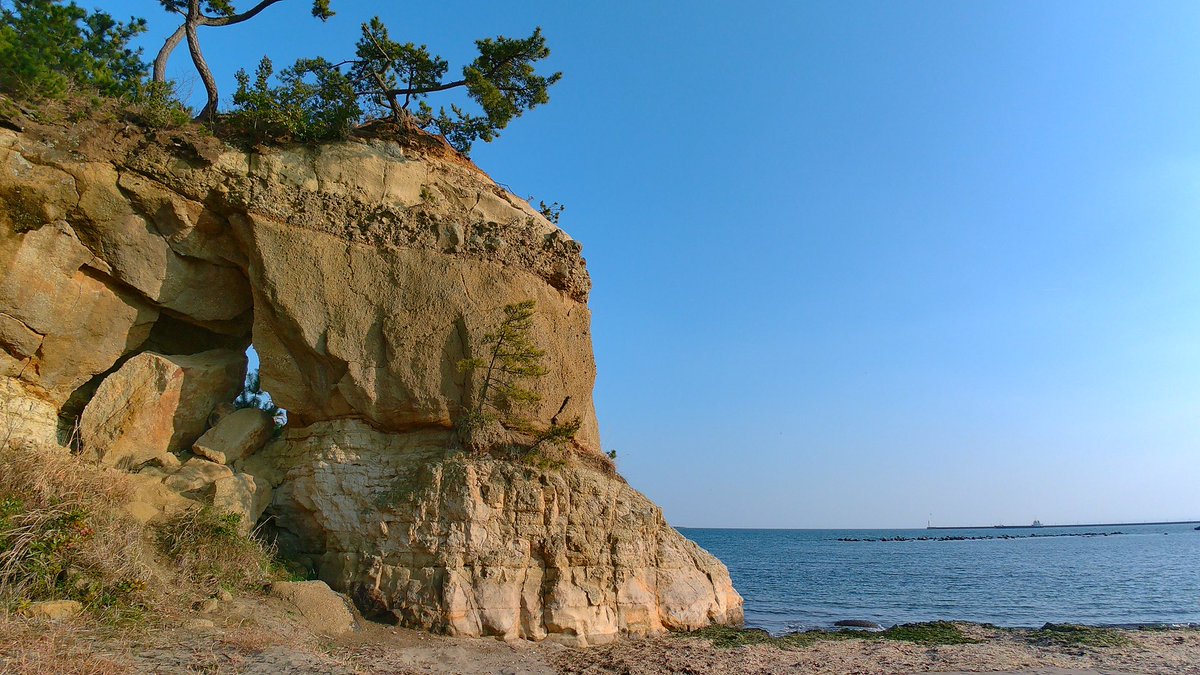 登斗丸桃丞🍑(ととまるとうすけ tweet media