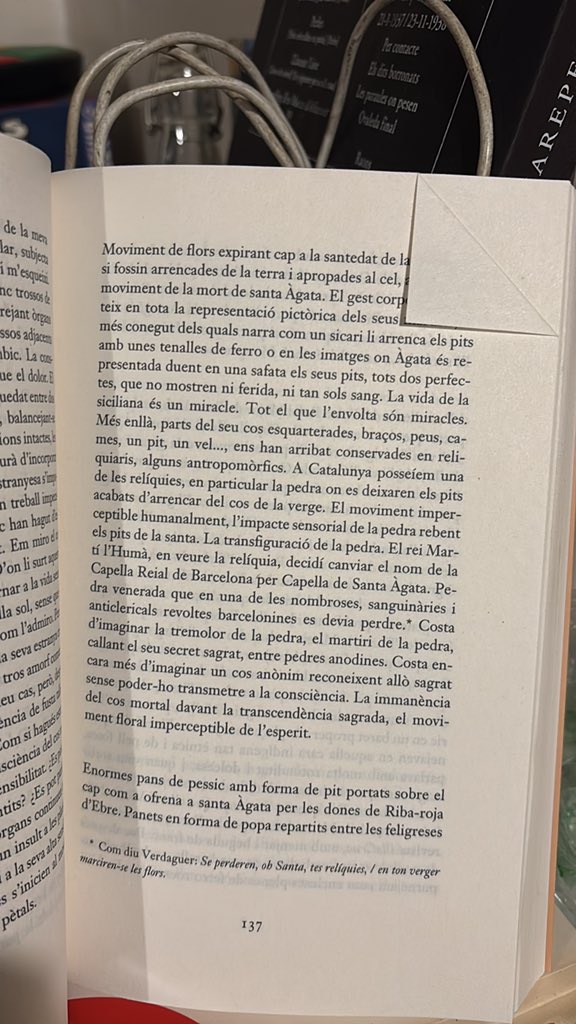 Adrià Pujol Cruells tweet media