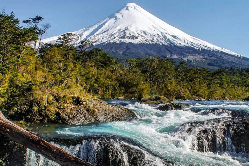 lobo_estepario tweet media