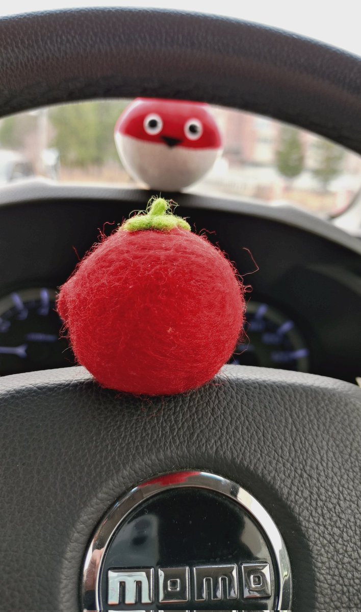 【鉄拳さん命名】ガンバレ‼︎アカダマちゃん🍅 tweet media