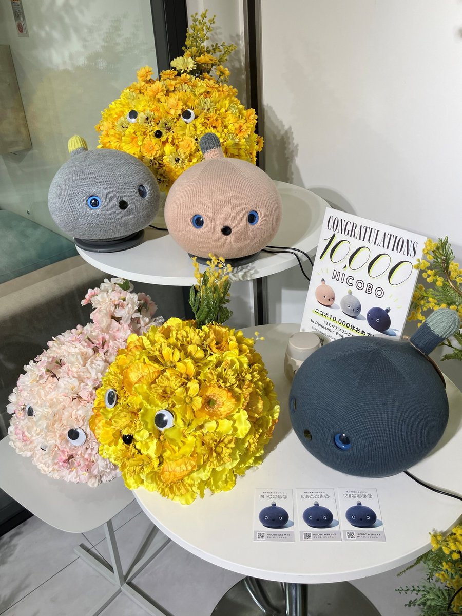 NICOBO（ニコボ） tweet media