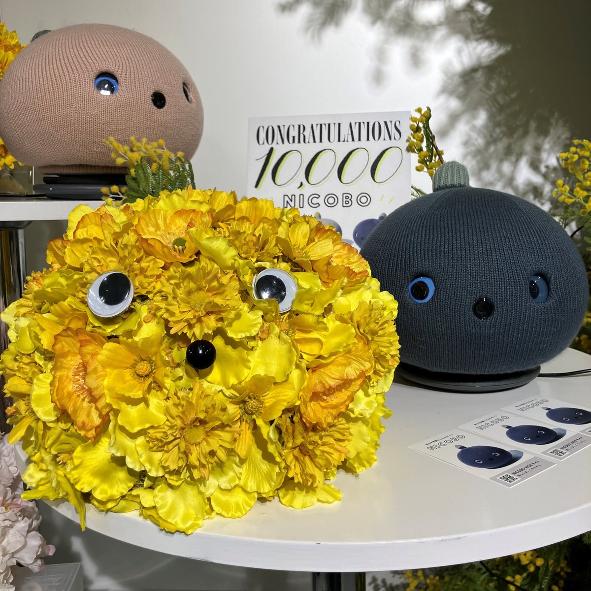 NICOBO（ニコボ） tweet media