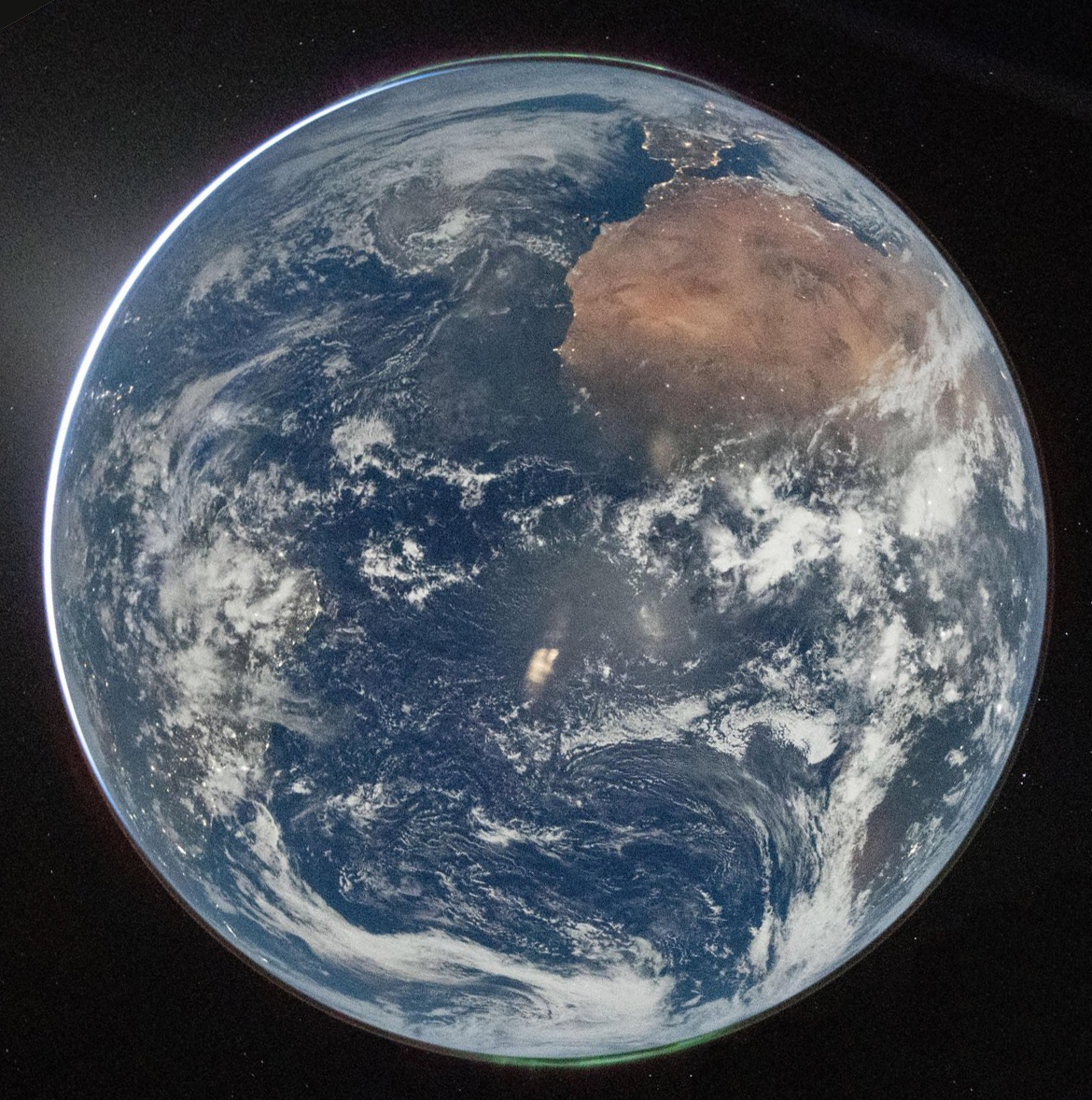 Steve Platsis tweet media