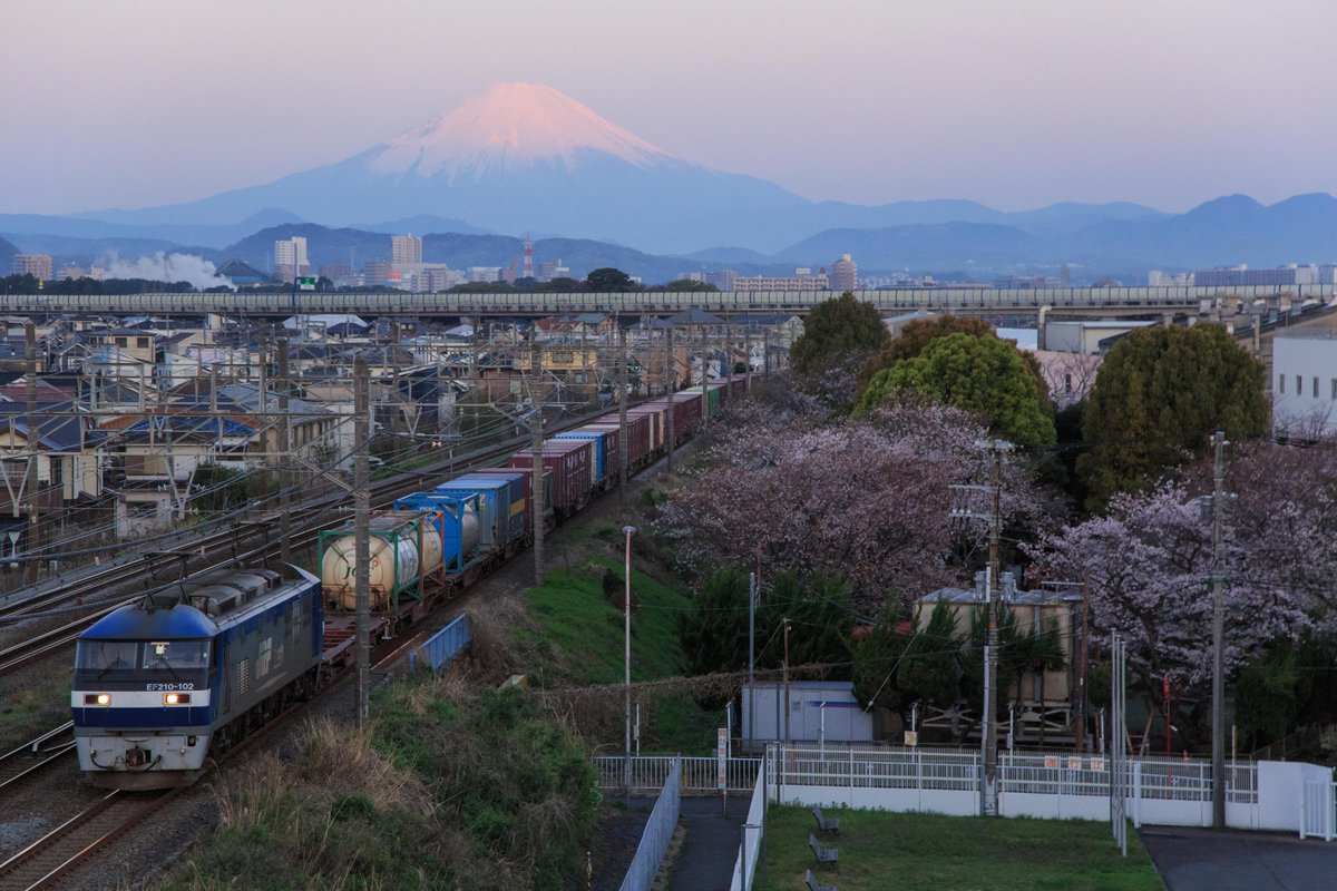 hiro_handa's tweet photo. Cherry Blossoms and Mt Fuji

EF210-102 ＊ Railscape 2026 Spring

Blog：https://t.co/DYduLEwLdq

3,April,2026 / Tokaido Line

#EF210 #jrfreight #5054レ #桜 #ソメイヨシノ #富士山 #紅富士 #cherryblossom #mtfuji #Spring https://t.co/ar457tGymH