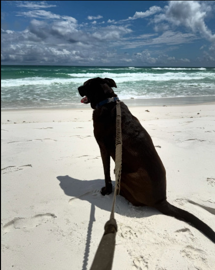 TmanInTn tweet media